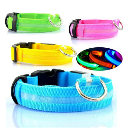 LED Dog Safety Collar – Night Glow