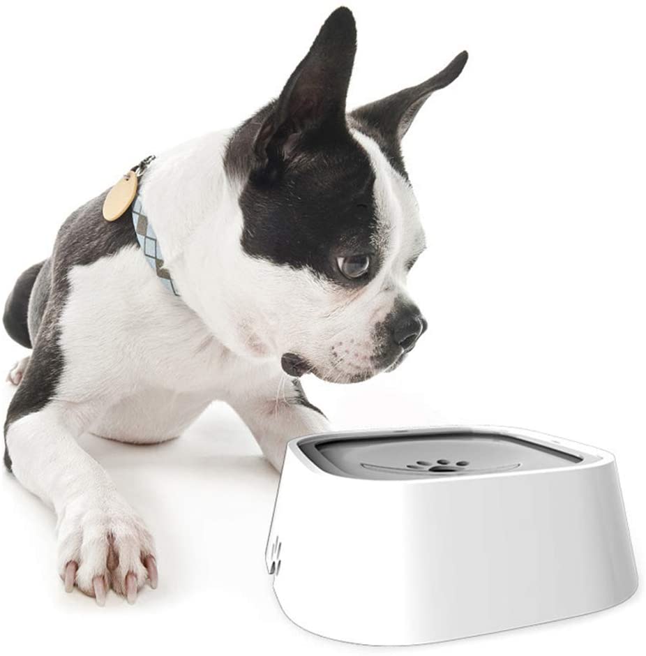 Spill-Proof Pet Travel Water Bowl